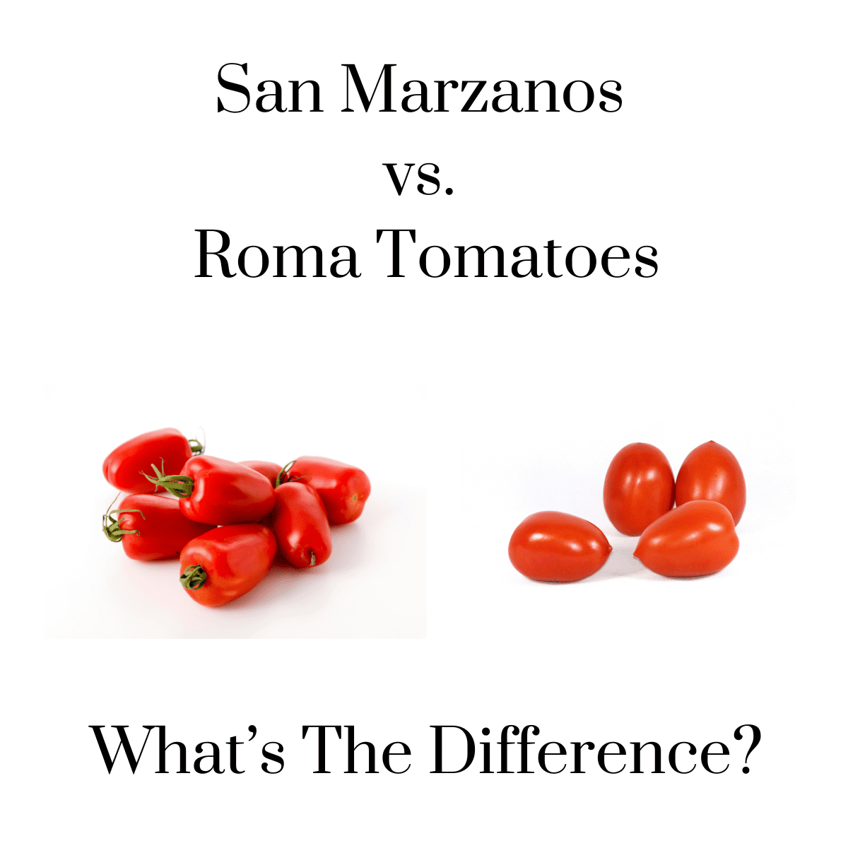 Difference between San Marzano and Roma Tomatoes